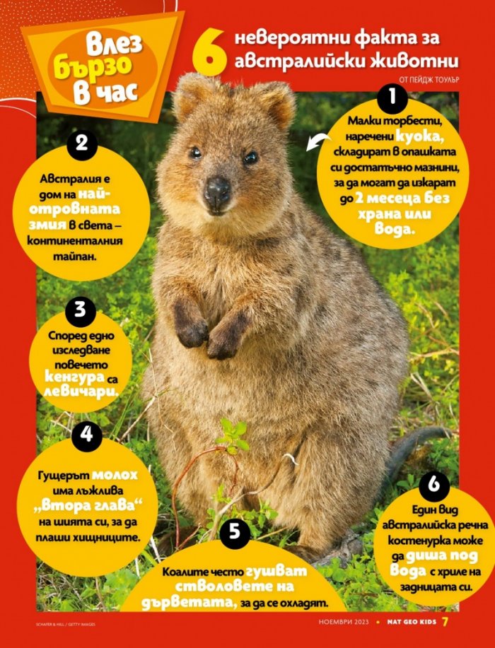 National Geographic KIDS България Ноември/2023