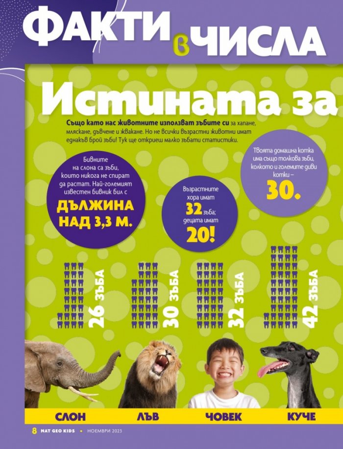National Geographic KIDS България Ноември/2023