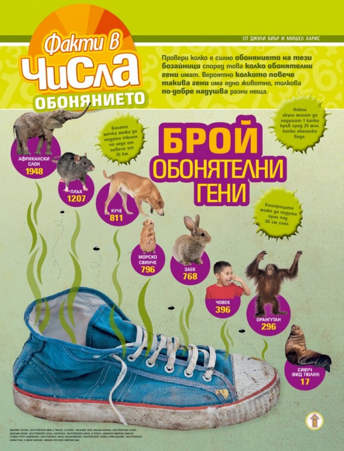 National Geographic KIDS България 2/2016