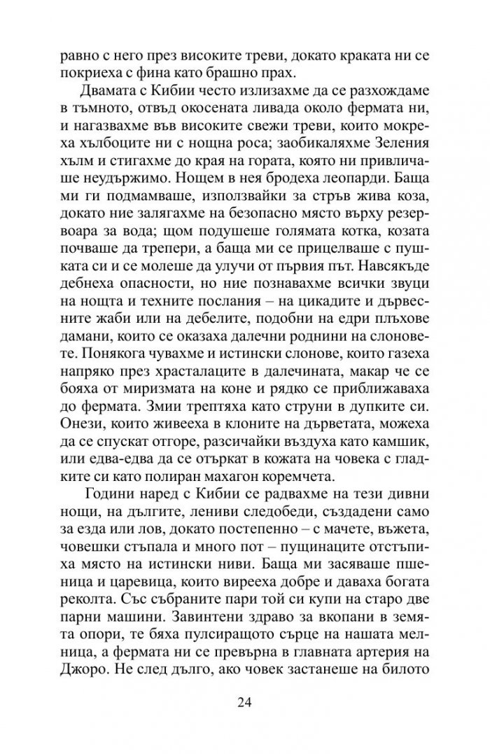Лейди Африка