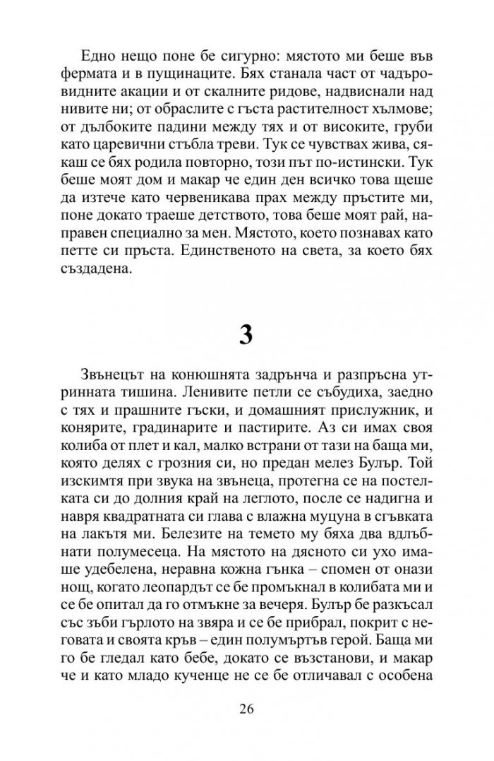 Лейди Африка