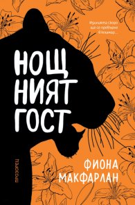 Нощният гост