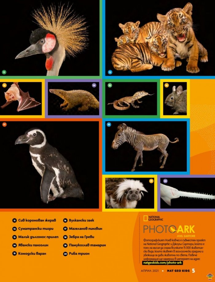 National Geographic KIDS България Април/2021