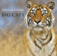 Calendar 2016: Big Cats