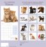 Calendar 2016: Kittens