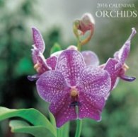 Calendar 2016: Orchids