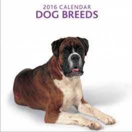Calendar 2016: Dog Breeds
