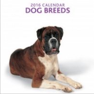 Calendar 2016: Dog Breeds