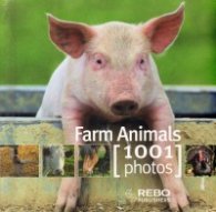 Farm Animals/ 1001 Photos