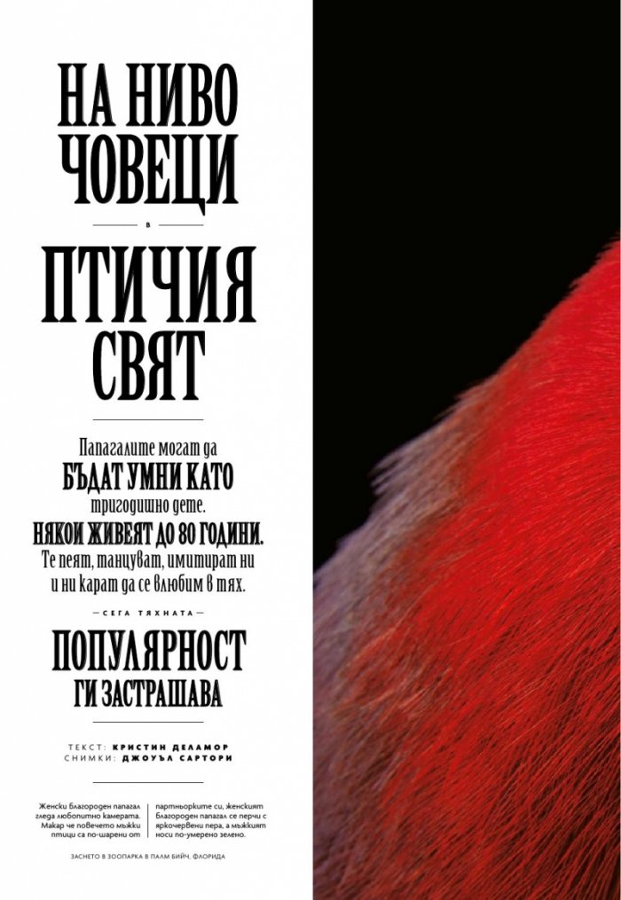 National Geographic България 08/2018