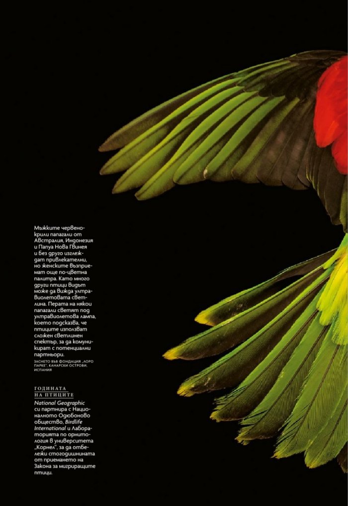 National Geographic България 08/2018