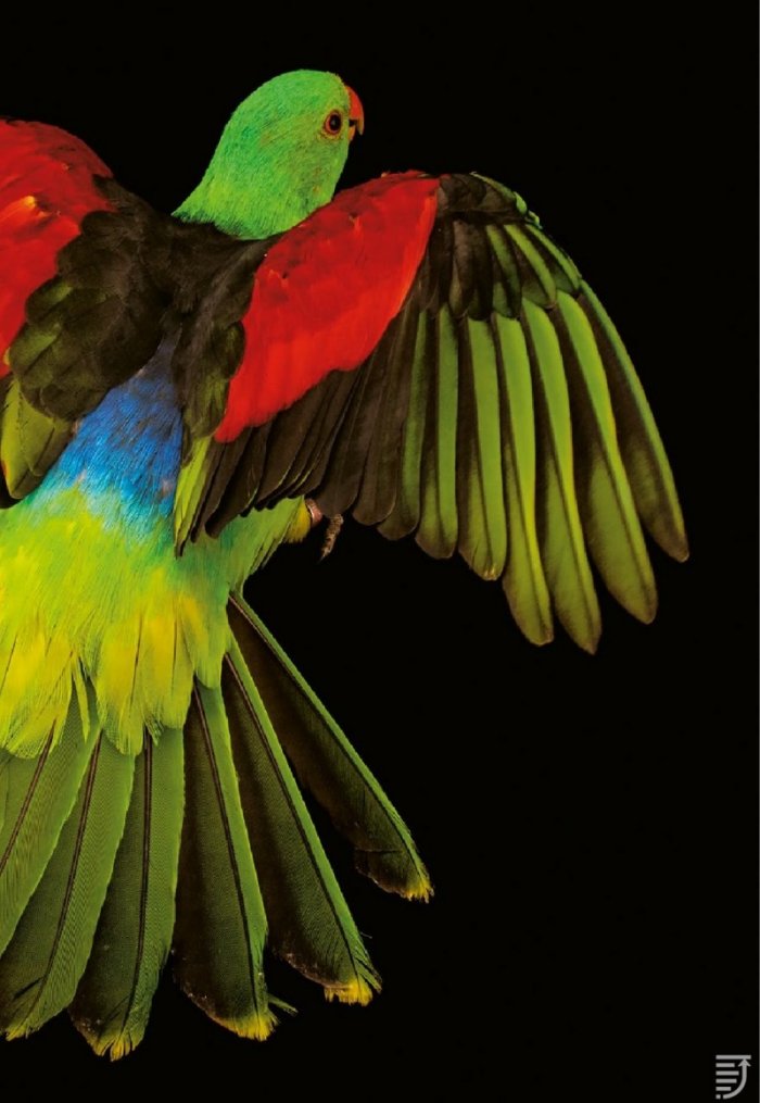 National Geographic България 08/2018