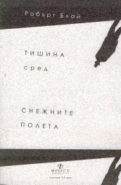 Тишина сред снежните полета