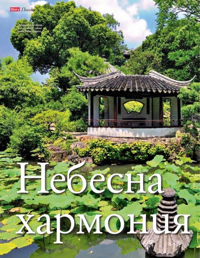 Story; Бр. 16/2014