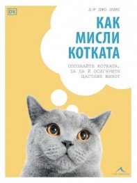 Как мисли котката