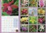 Calendar 2014: Orchids
