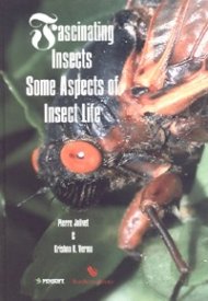 Fascinating Insects Some Aspects of Insect Life
