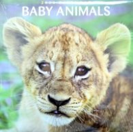 Calendar 2014: Baby Animals