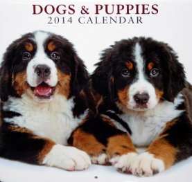 Calendar 2014: Dogs & Puppies