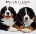 Calendar 2014: Dogs & Puppies