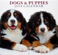 Calendar 2014: Dogs & Puppies