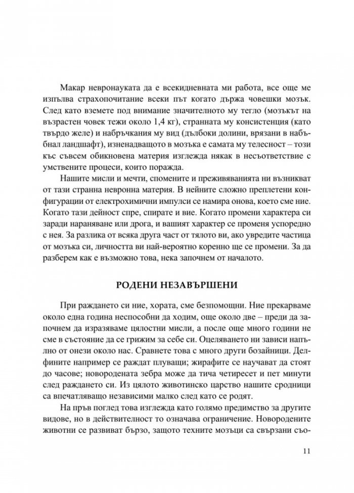 Мозъкът. Това си ти