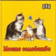 Моето семейство / картонена