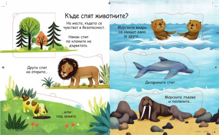 Първи въпроси и отговори: Защо трябва да спим?