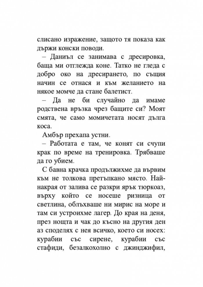 По дирите на Амбър
