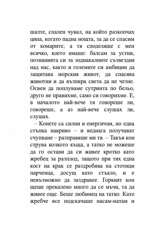 По дирите на Амбър