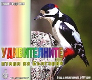 Удивителните птици на България