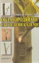 Облагородяване със зелени калеми