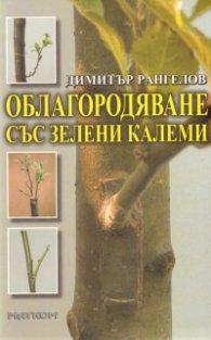 Облагородяване със зелени калеми