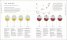 Wine A Tasting Course : From Grape to Glass