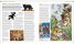The Cat Encyclopedia : The Definitive Visual Guide