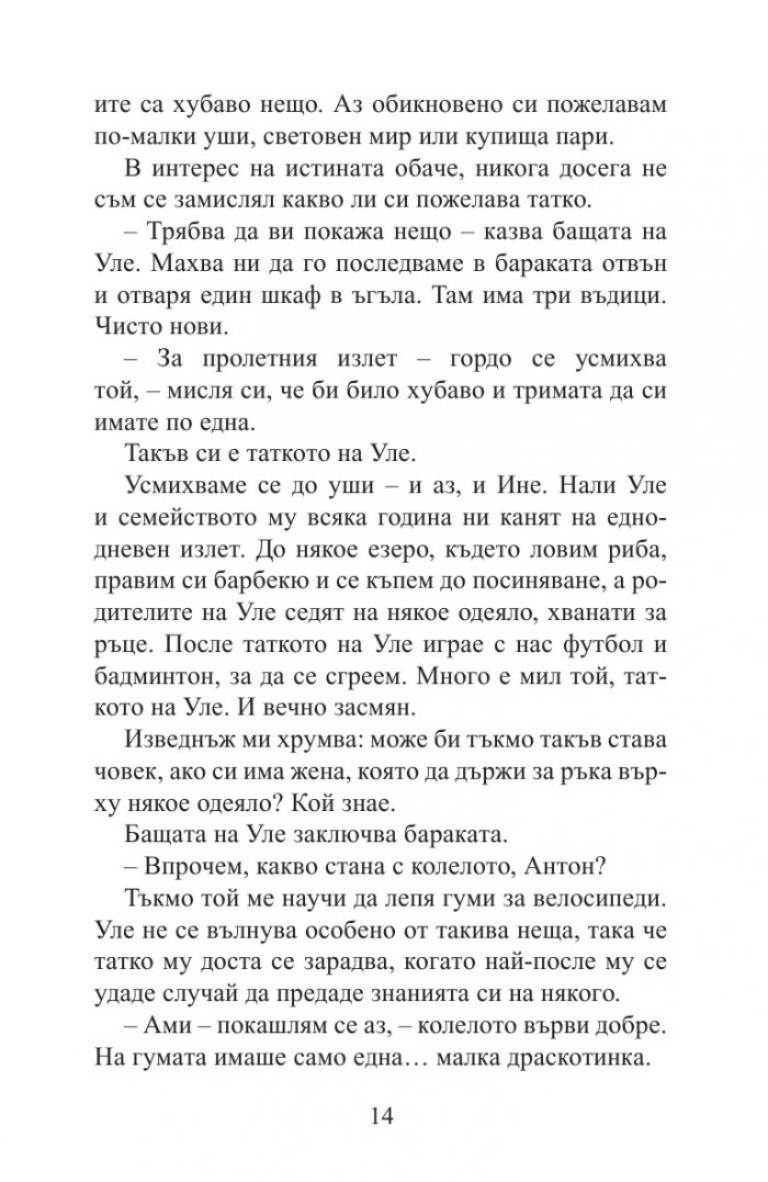 Антон и други произшествия