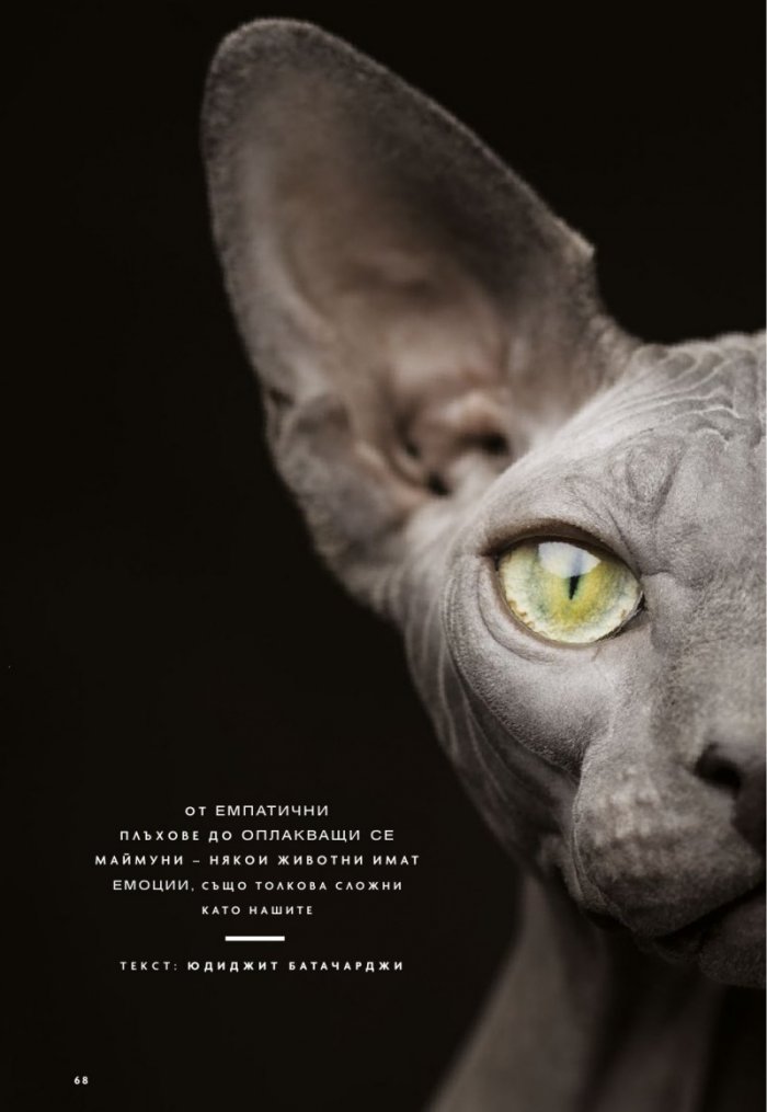 National Geographic България Януари/2024