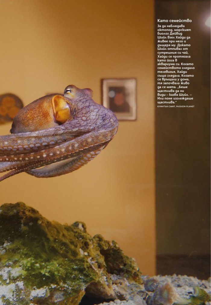 National Geographic България Януари/2024