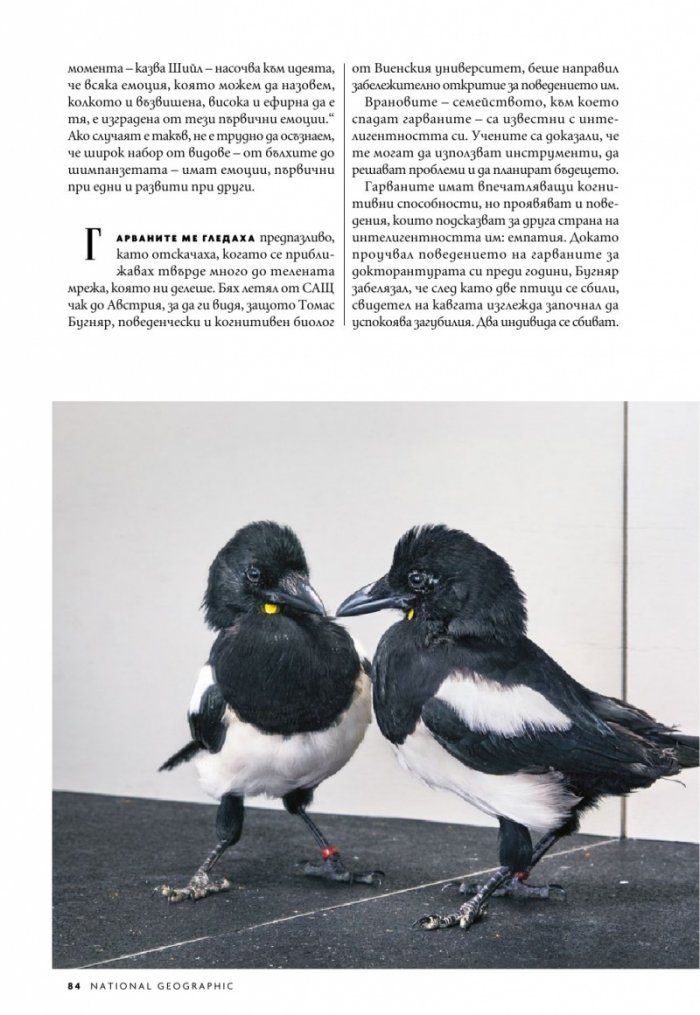 National Geographic България Януари/2024