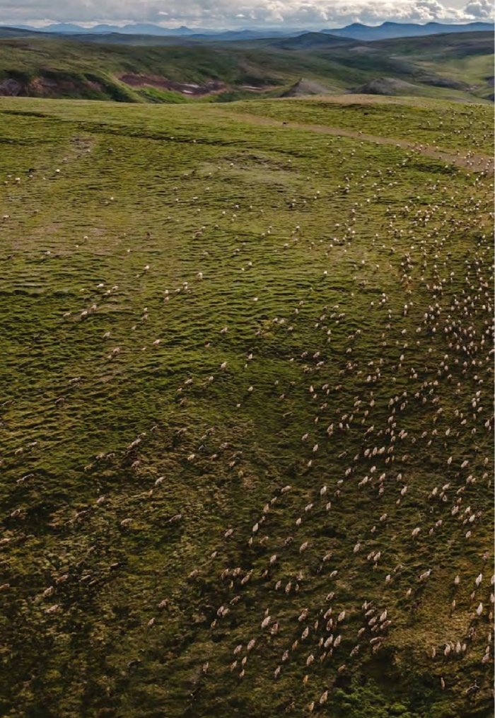 National Geographic България Февруари/2024