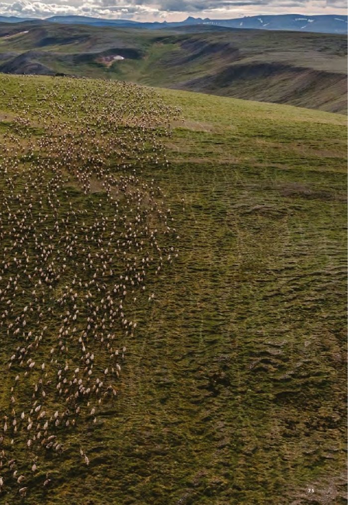 National Geographic България Февруари/2024