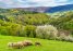Календар 2027: Пейзажи от България/ Bulgarian Landscapes