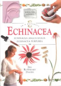 Echinacea