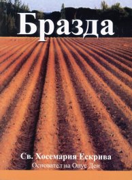 Бразда