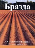 Бразда