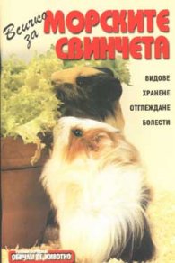 Всичко за морските свинчета