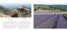 Best- Kept Secrets of Provence