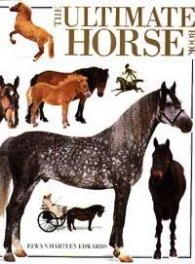 The Ultimate Horse Book