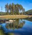 Стенен календар 2020: Вода