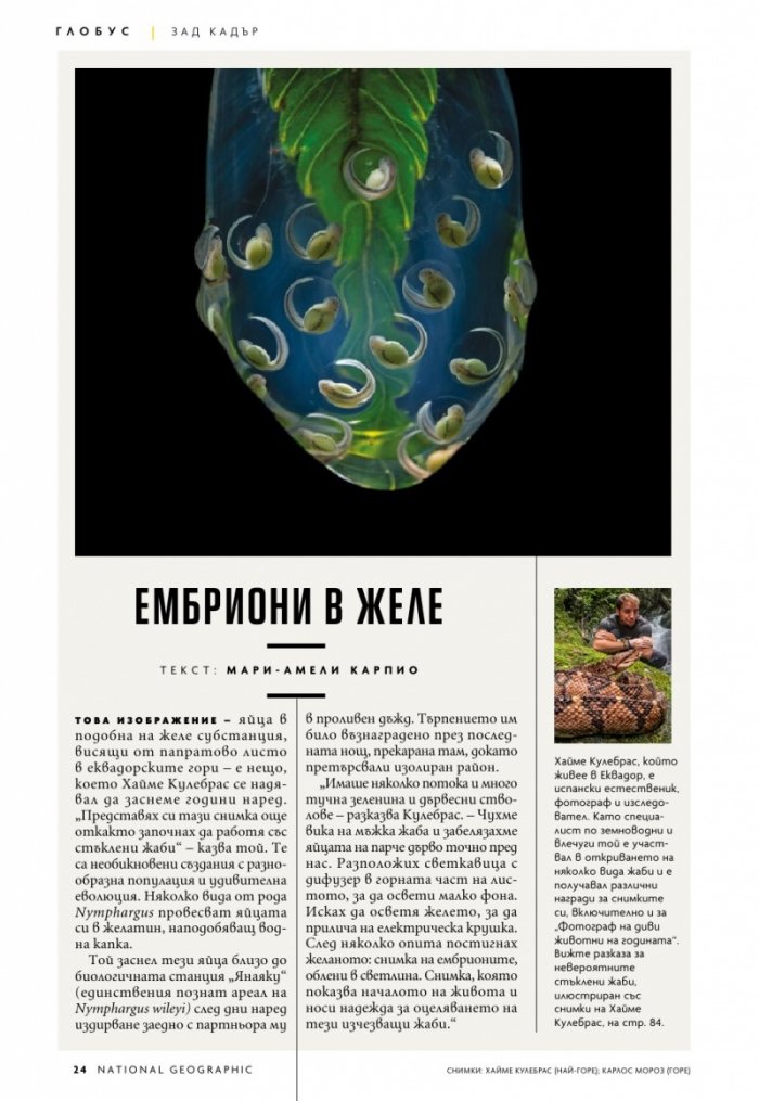 National Geographic България Август/2021